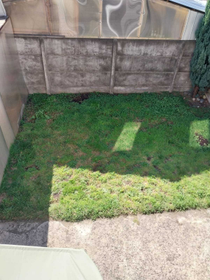 -14