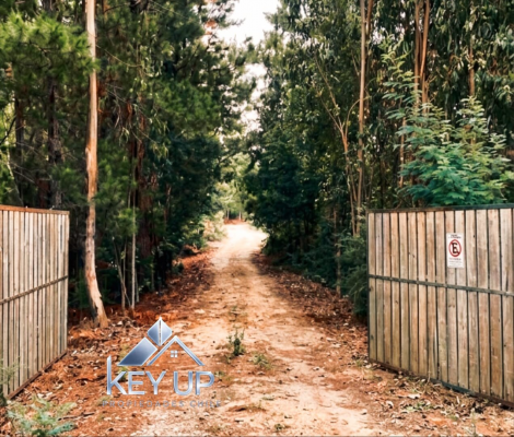 terreno-de-1,5-hectareas-en-venta-|-sector-panu-4