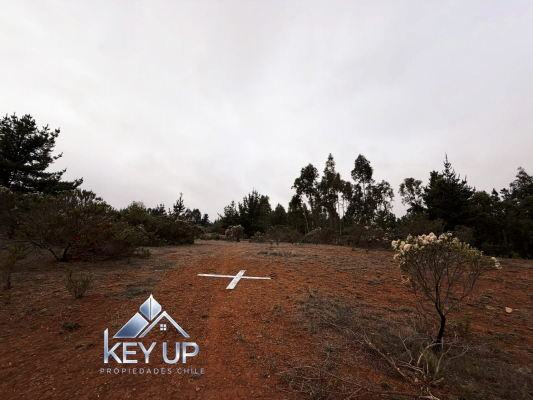 terreno-de-1,5-hectareas-en-venta-|-sector-panu-6