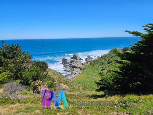 -12