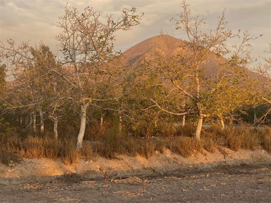 vendo-parcelas-5000-m2-muy-buena-plulvalia-sect-4