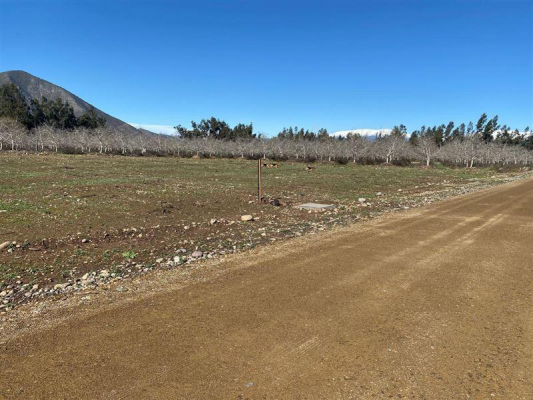 vendo-parcelas-5000-m2-muy-buena-plulvalia-sect-7