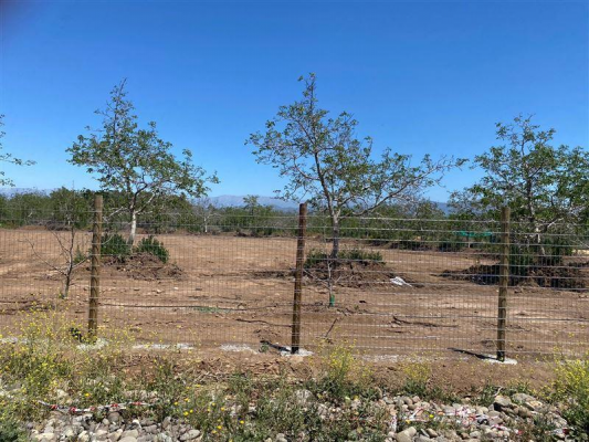 vendo-parcelas-5000-m2-muy-buena-plulvalia-sect-8
