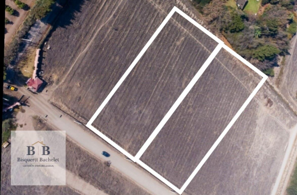 oportunidad-2terrenos-colindantes-5000m2-c/u-ca-5