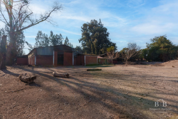 4-parcelas-en-calera-de-tango,-3-con-casa,-1-co-9