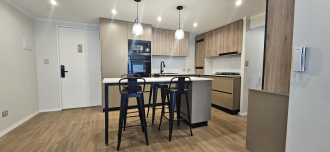 departamento-remodelado-completo-barrio-las-nieves-4