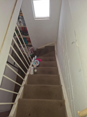 casa-alto-casares-3d/2b-rodolfo-jaramillo-2618-8