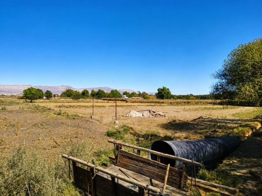 -3