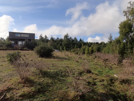 parcela-5000-m2-en-cutipay---cerca-de-valdivia-3