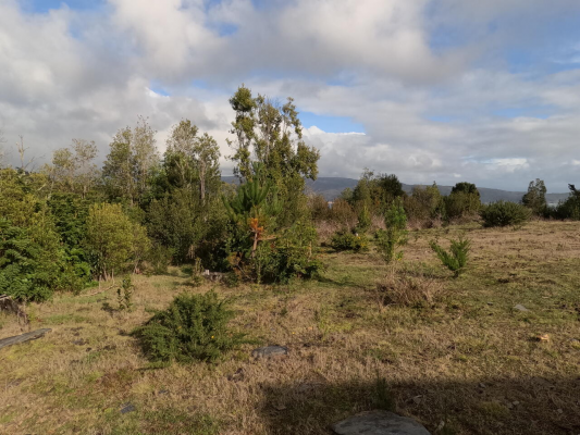 parcela-5000-m2-en-cutipay---cerca-de-valdivia-4