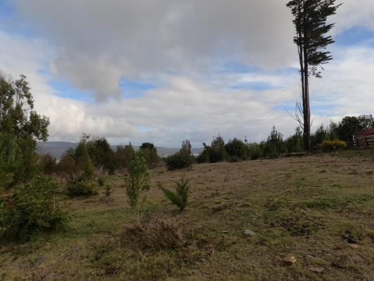parcela-5000-m2-en-cutipay---cerca-de-valdivia-9