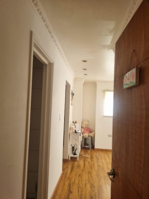 propiedad-comercial-y-habitacional-en-michimalo-5