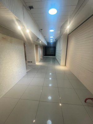 propiedad-comercial-y-habitacional-en-michimalo-6