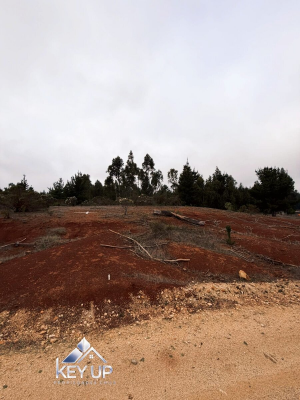 terreno-de-1,5-hectareas-en-venta-|-sector-panu-3