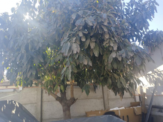 quillota,-se-vende-linda-casa-2-pisos,-4d,-2b-7
