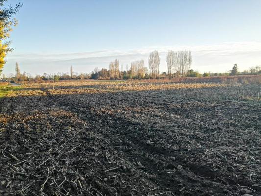 en-venta-parcelas-en-sector-santa-raquel-camino-9