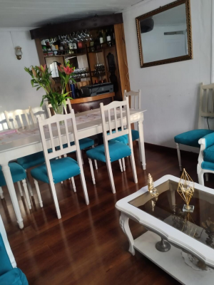 en-venta-propiedad-comercial-con-casa-4d,-penaflor-9