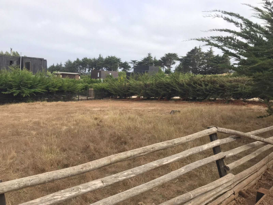 sitio-en-condominio-/-punta-de-lobos-(68194)-8