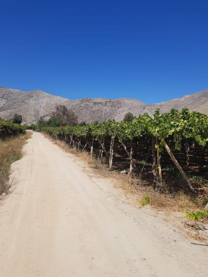 terreno-urbano-en-el-valle-de-elqui-8