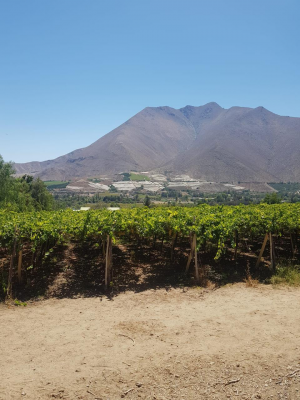 terreno-urbano-en-el-valle-de-elqui-9
