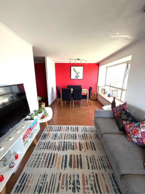 gran-depto-penthouse-con-vista-panoramica-y-te-8