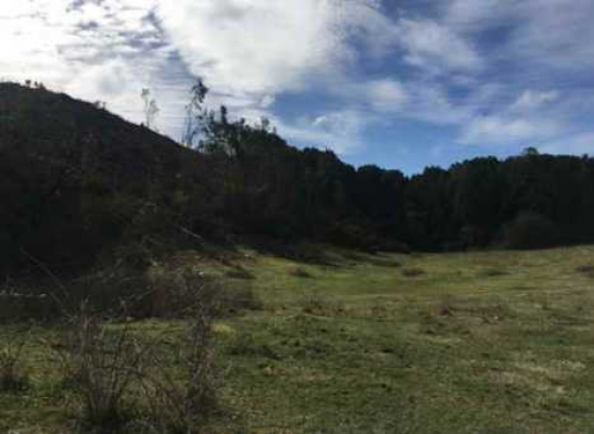 terreno10000-mts-cercano-patagonia-virgin-(93102)-9