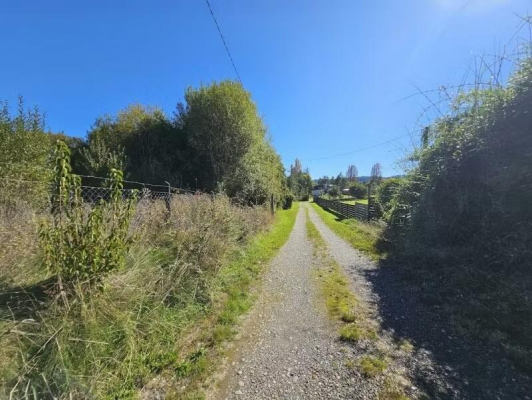 parcela-plana-en-isla-huape-valdivia-con-acceso-3