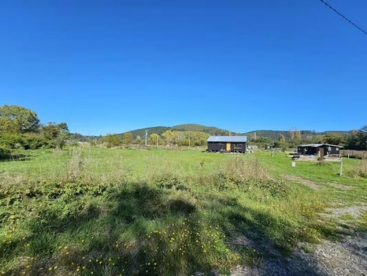 parcela-plana-en-isla-huape-valdivia-con-acceso-7