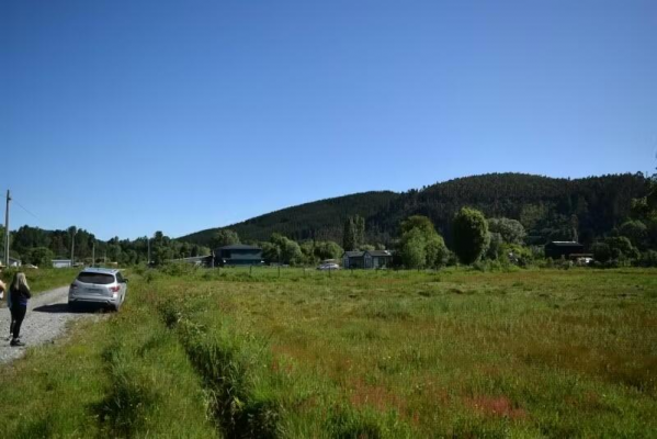 parcela-plana-en-isla-huape-valdivia-con-acceso-8