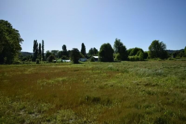 parcela-plana-en-isla-huape-valdivia-con-acceso-9