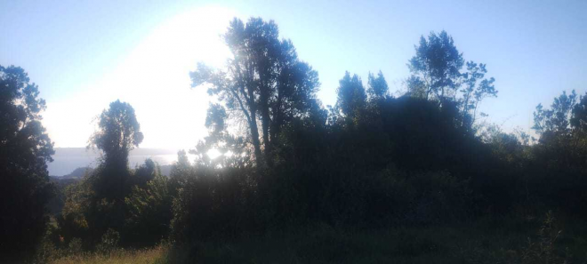 amplia-parcela-de-28-hectareas-entorno-natura-7