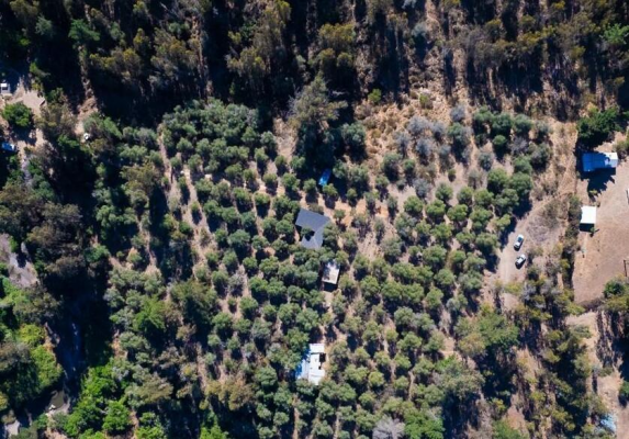 hermosa-parcela-a-la-venta-en-un-lugar-muy-tran-9