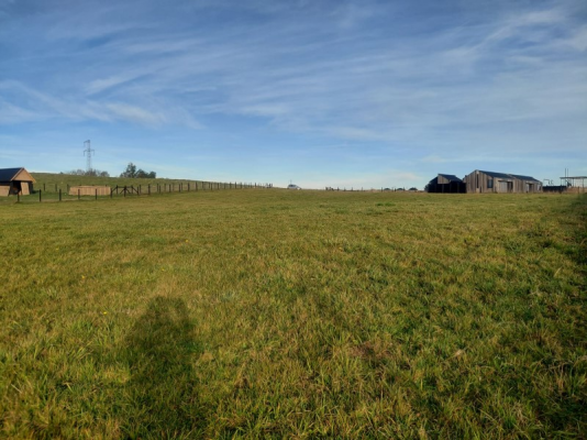 128863-6