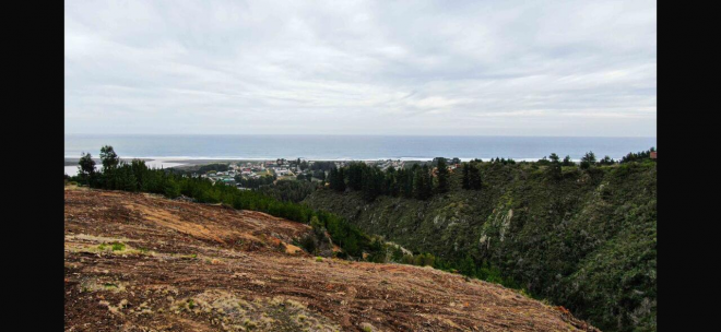 venta-terreno---sitio-5000mts-pichilemu-3