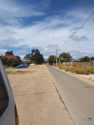 parcela-de-1-hectarea-en-el-recurso,-buin-|-pis-4