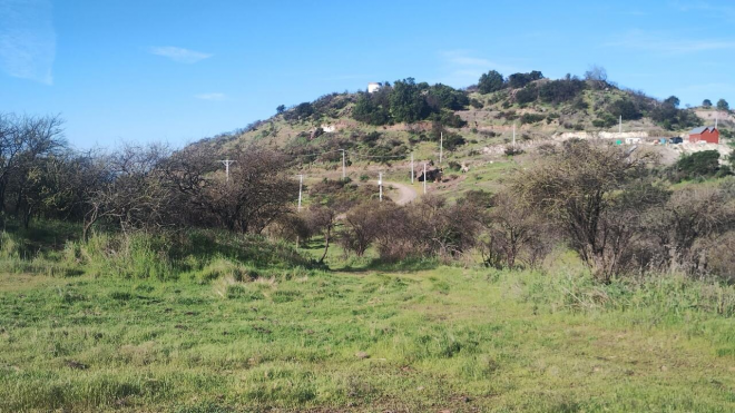 invierte-en-el-sector-que-mas-crece-en-curico-6