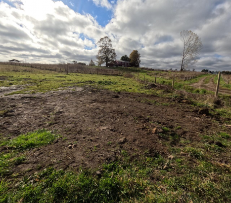 terreno-10000m2-en-parcela-baquedano---osorno-3