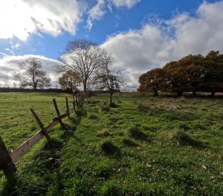 terreno-10000m2-en-parcela-baquedano---osorno-4