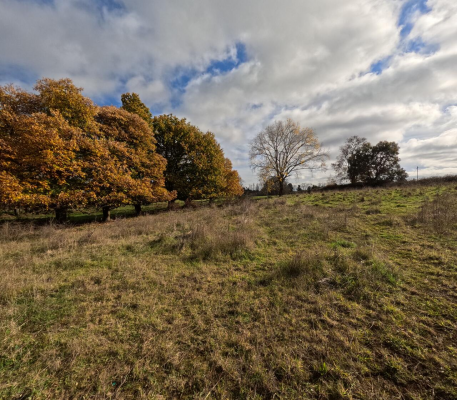 terreno-10000m2-en-parcela-baquedano---osorno-8