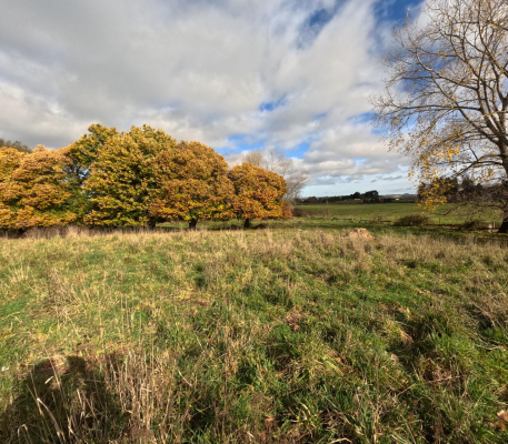 -10
