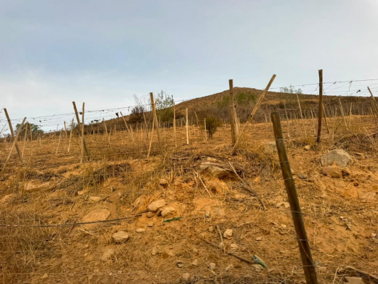 vicuna,-km-6,3,-rancho-chaparral,-74000-m2,-sec-3