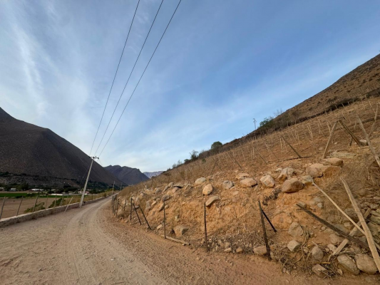vicuna,-km-6,3,-rancho-chaparral,-74000-m2,-sec-5