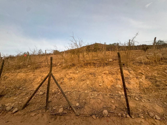 vicuna,-km-6,3,-rancho-chaparral,-74000-m2,-sec-6