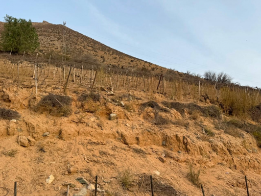 vicuna,-km-6,3,-rancho-chaparral,-74000-m2,-sec-7