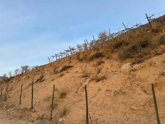 vicuna,-km-6,3,-rancho-chaparral,-74000-m2,-sec-8