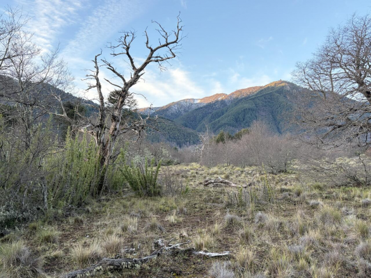 venta-parcela-con-orilla-rio-10200-m2-malalcah-7