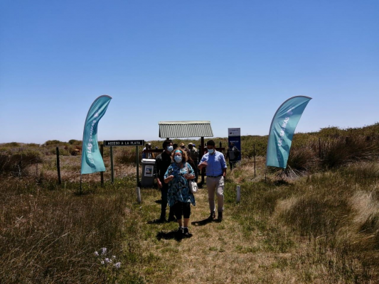 -9