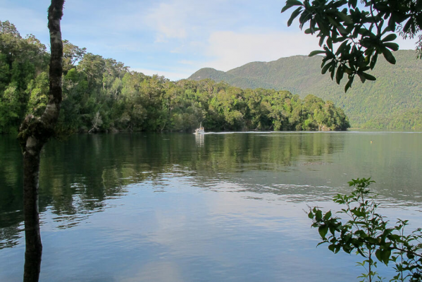 venta-terreno-parcela-aysen-puerto-bonito-a-ori-7