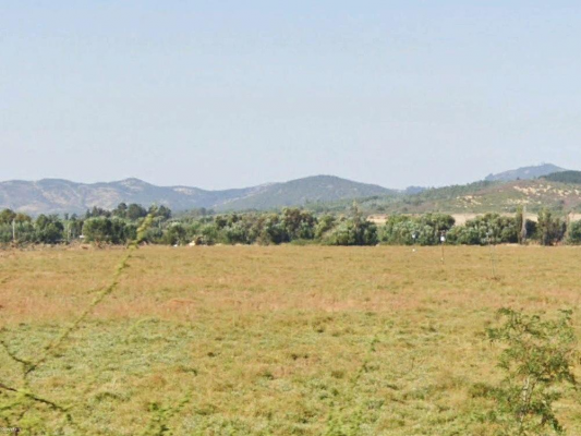 propiead-agricola-en-venta,-campo-de-49-ha,-san-7