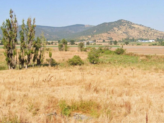 propiead-agricola-en-venta,-campo-de-49-ha,-san-9